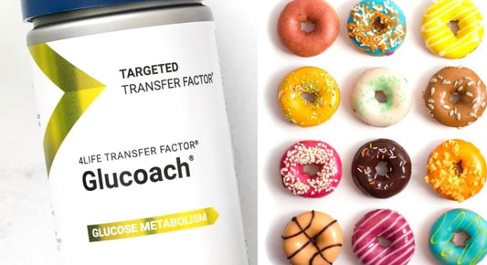 4Life Transfer Factor Glucoach Para Que Sirve